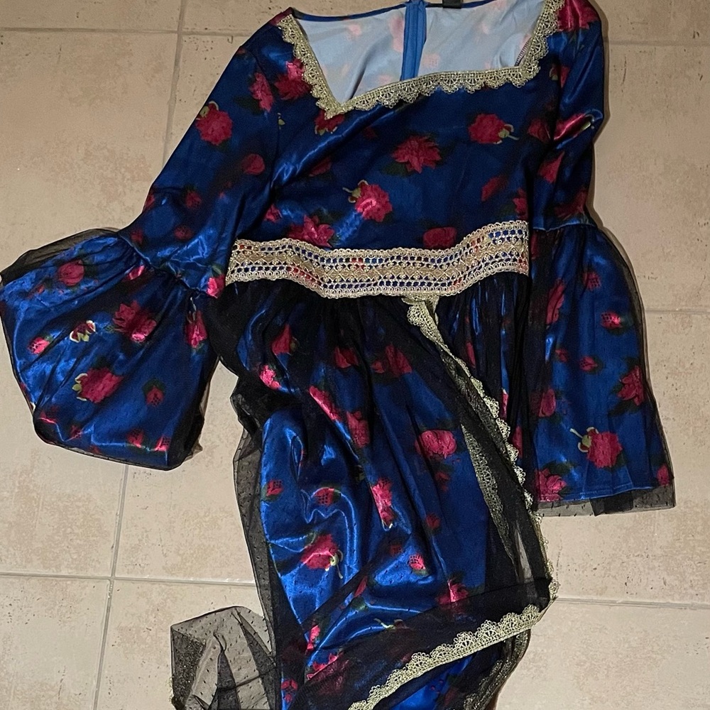 Festive holiday celebrations dress (used)